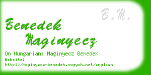 benedek maginyecz business card